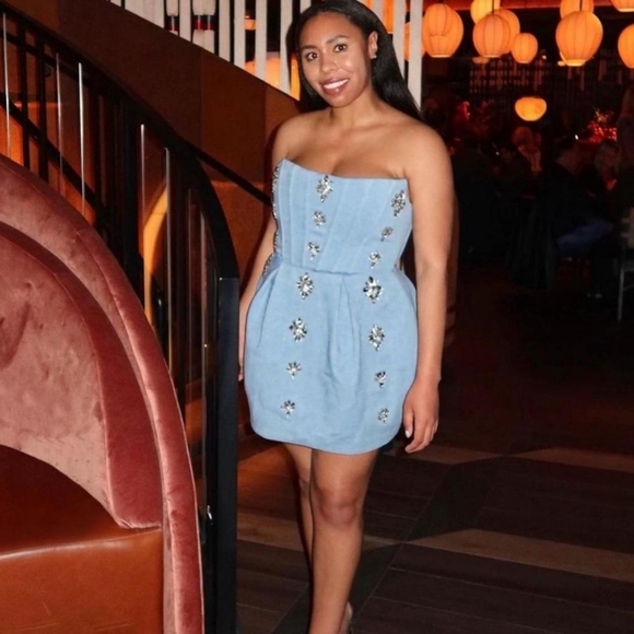 Maraya Denim Diamond Mini Dress in Blue Denim Bronx and Banco Sz 4 SMALL - Picture 5 of 14